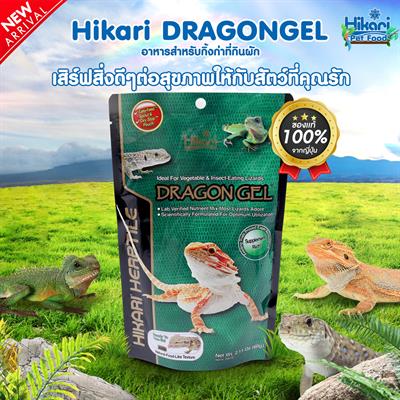 Hikari Herptile Dragon Gel for Vegetable & Insect-Eating Lizards (60g)
